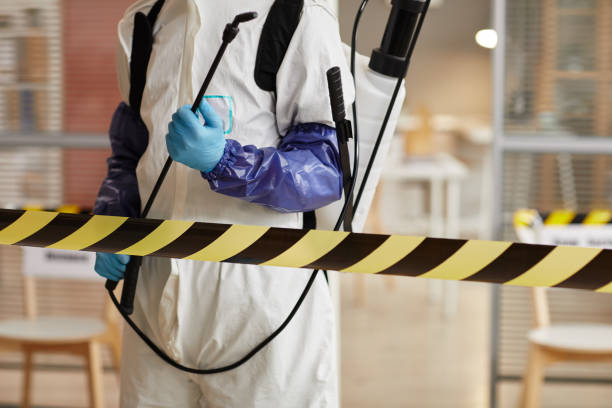 Professional Sewage Cleanup technician working in Alstead, NH